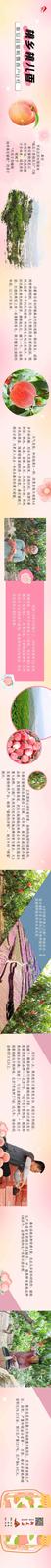 未标题-1.jpg