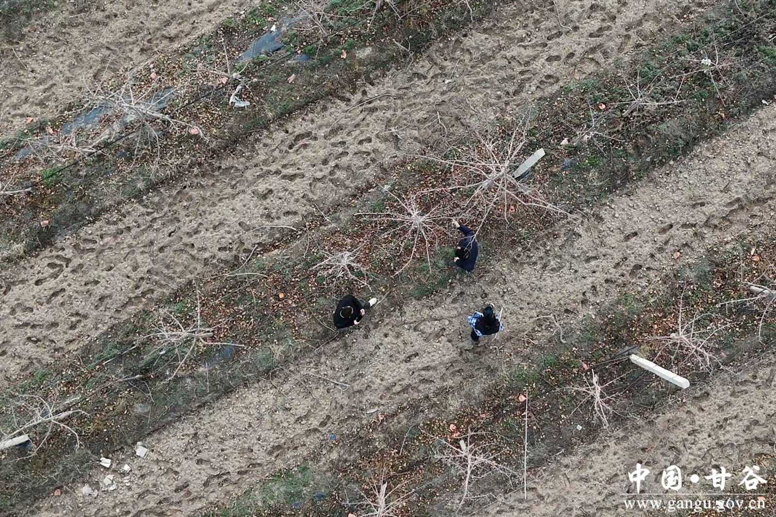 微信图片_20260320173352_40_148