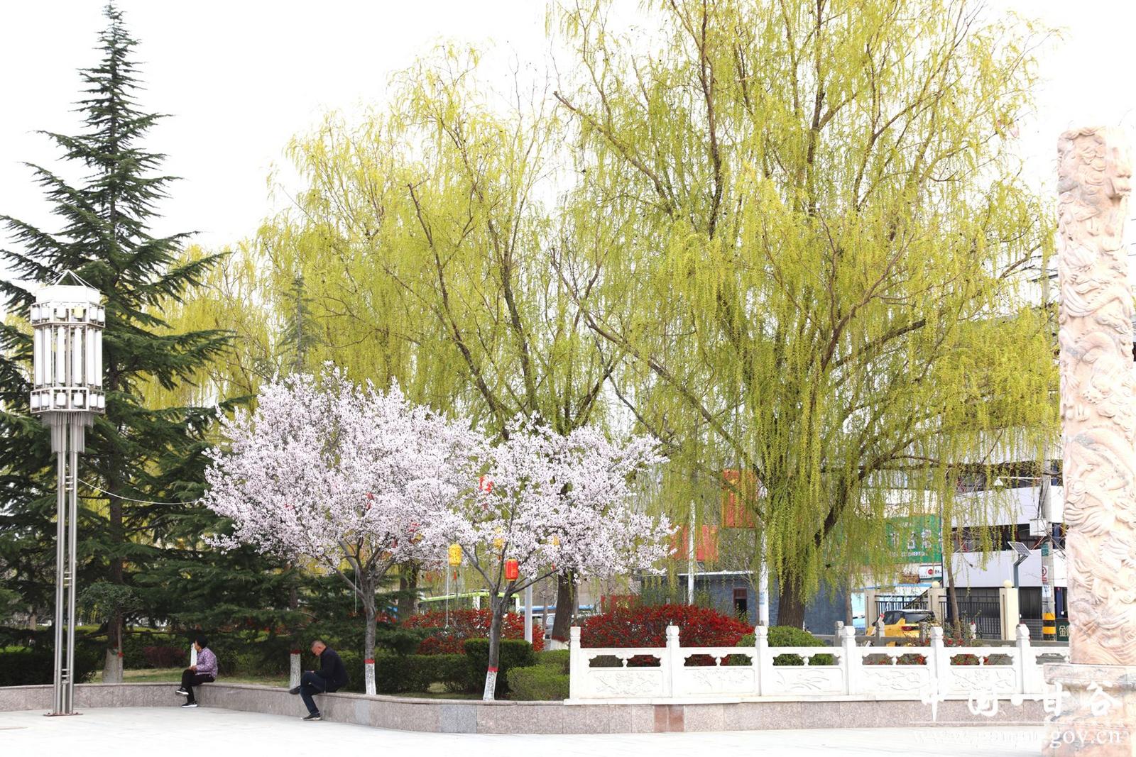 4b91935351d927c0e23c67d6cefaa16_副本