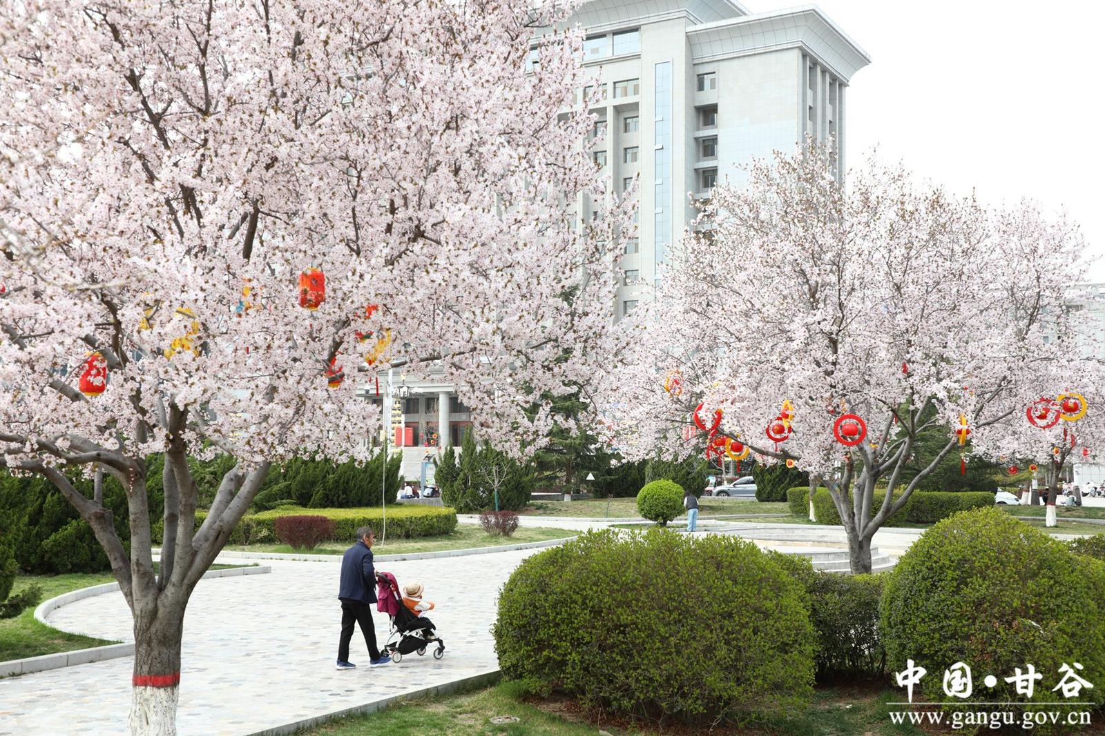 83123a6e50267fdf27db867748c8305_副本