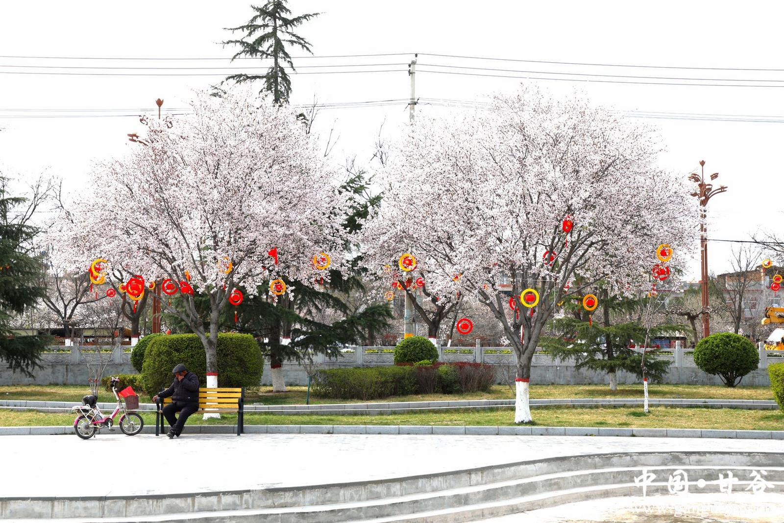 da6698e7743ba4f3123d27ecd7cb64e_副本