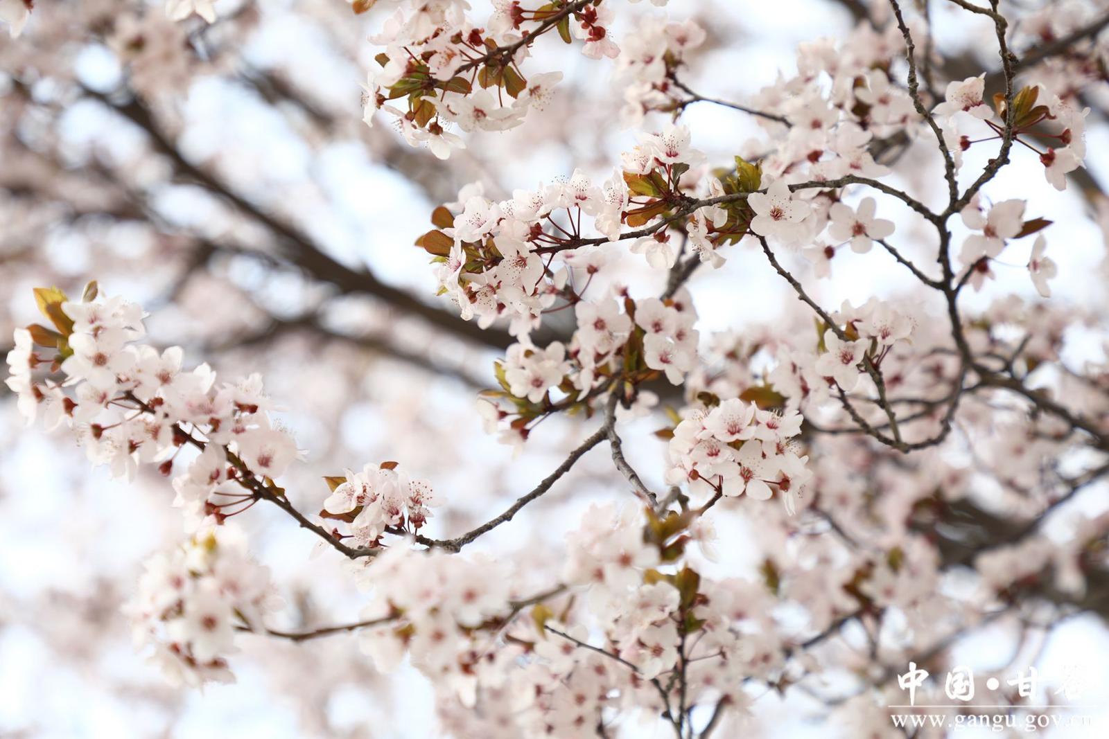 02a8ee6ed4428429c5fde35163ec5b2_副本