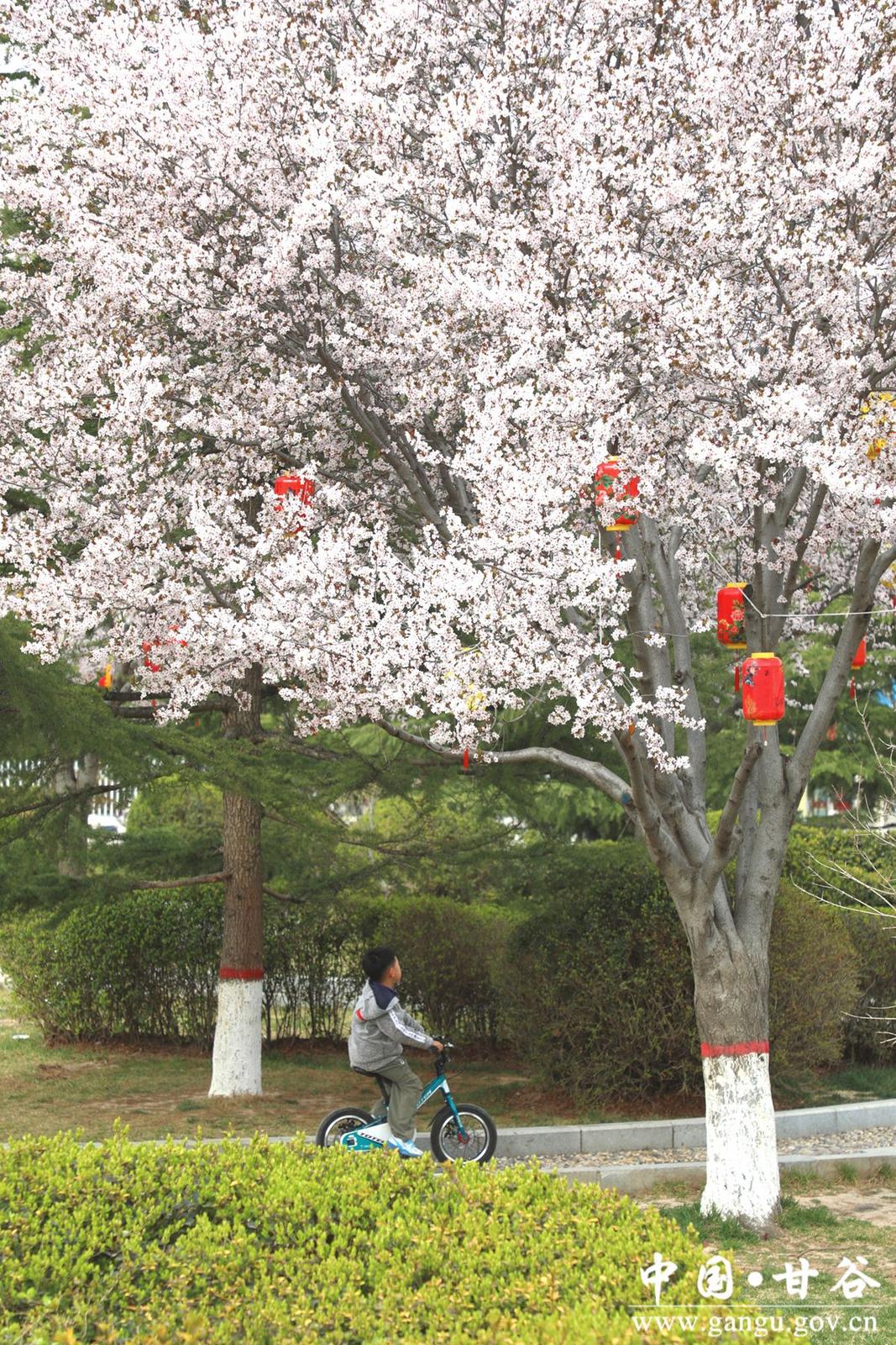 5ad1984b8e5978853a949560a103e59_副本