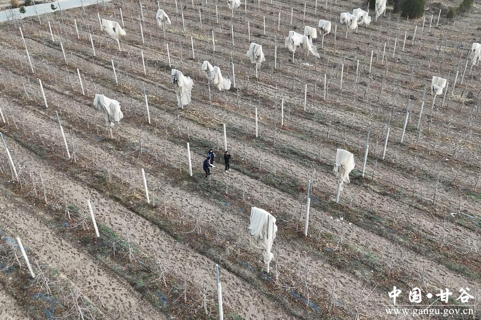 微信图片_20260320173347_37_148