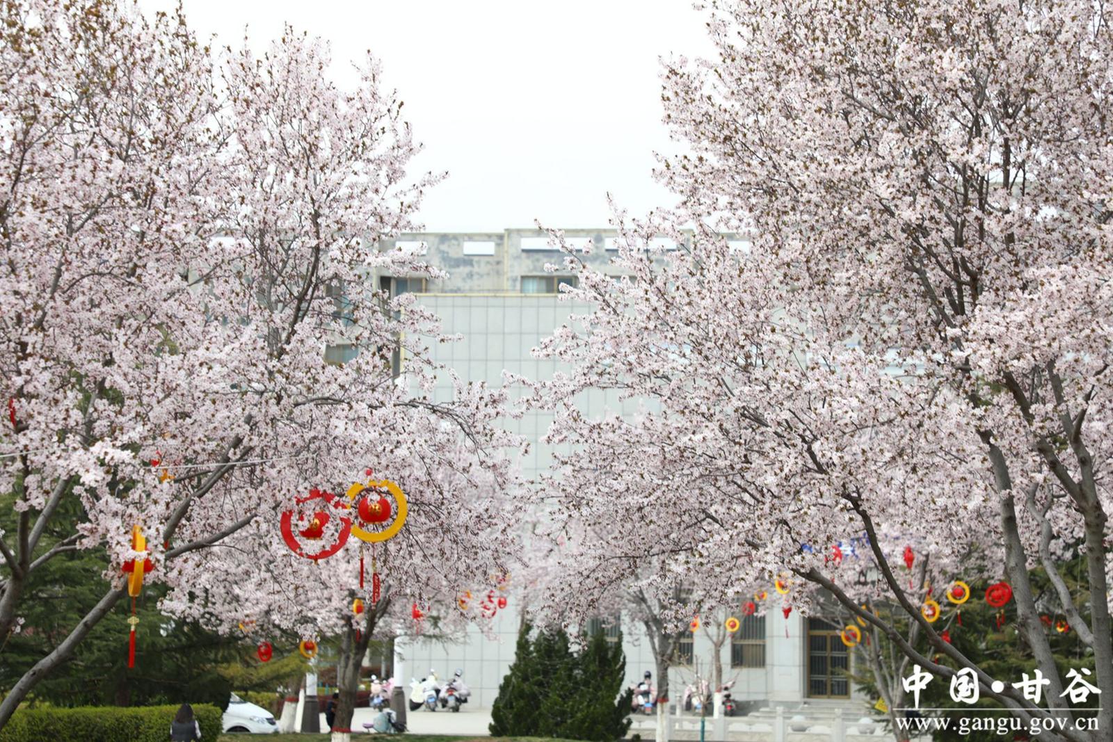 40b94e22af84c0c300ee61c1ab7ccfd_副本