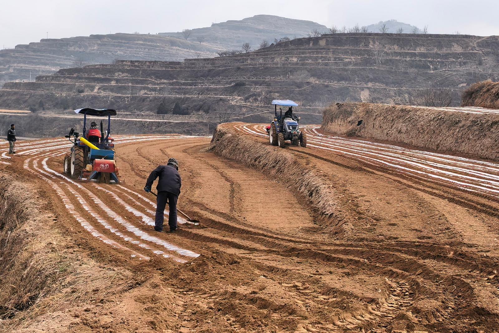 0dfd305b0a7e4529a61a1d6198e0dc22